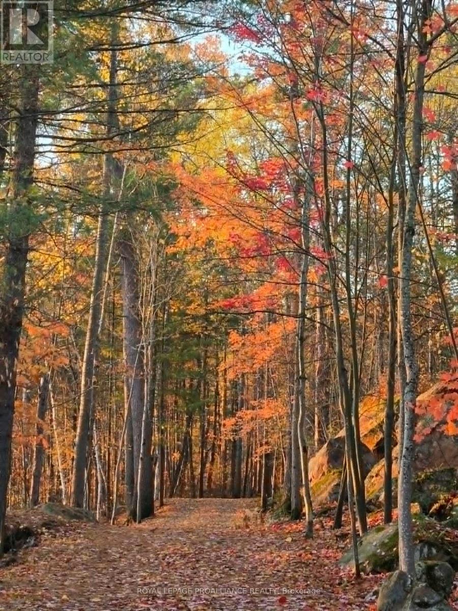 13 Mazinaw Heights Road N, Frontenac, Ontario  K0H 1K0 - Photo 45 - X12971506