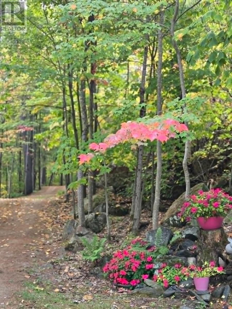 13 Mazinaw Heights Road N, Frontenac, Ontario  K0H 1K0 - Photo 48 - X12971506