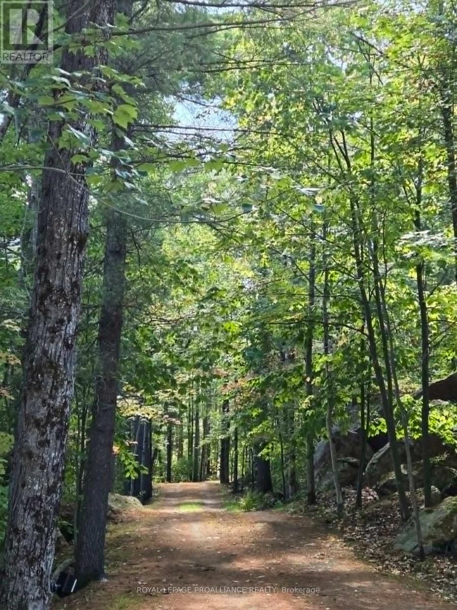 13 Mazinaw Heights Road N, Frontenac, Ontario  K0H 1K0 - Photo 49 - X12971506