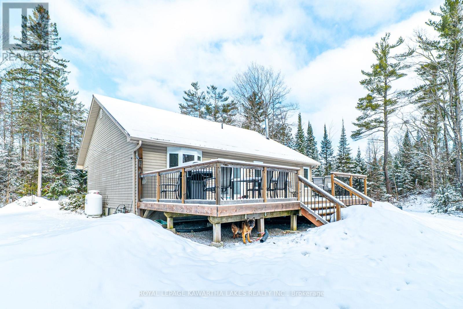 914 County Rd 49, Trent Lakes, Ontario  K0M 1A0 - Photo 36 - X12971700