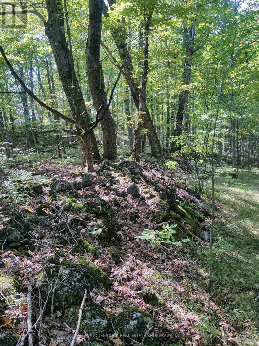 0WEST ROAD ALLOWANCE ROAD, Havelock-Belmont-Methuen, Ontario