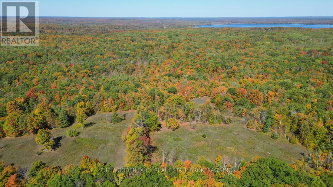0west Road Allowance Road, Havelock-Belmont-Methuen, Ontario K0L 1Z0 - Photo 11 - X12971736