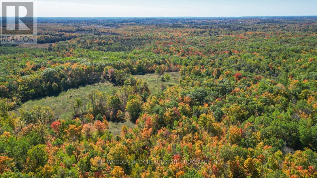 0west Road Allowance Road, Havelock-Belmont-Methuen, Ontario K0L 1Z0 - Photo 12 - X12971736