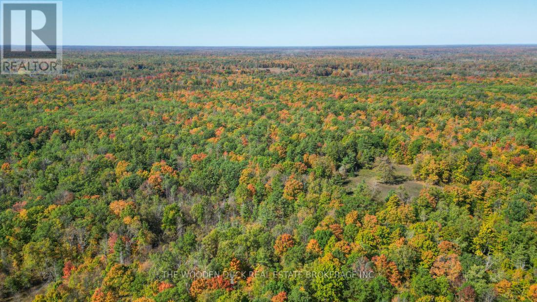 0west Road Allowance Road, Havelock-Belmont-Methuen, Ontario K0L 1Z0 - Photo 13 - X12971736