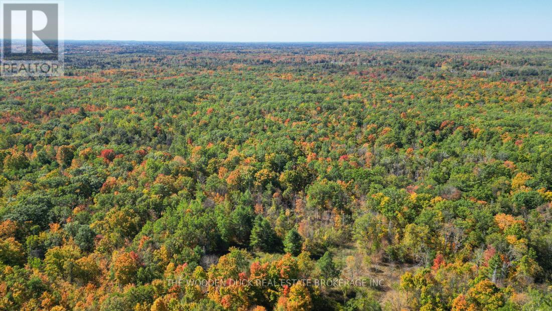 0west Road Allowance Road, Havelock-Belmont-Methuen, Ontario K0L 1Z0 - Photo 14 - X12971736