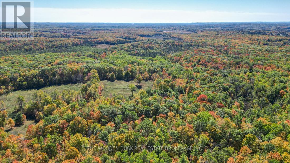 0west Road Allowance Road, Havelock-Belmont-Methuen, Ontario K0L 1Z0 - Photo 15 - X12971736