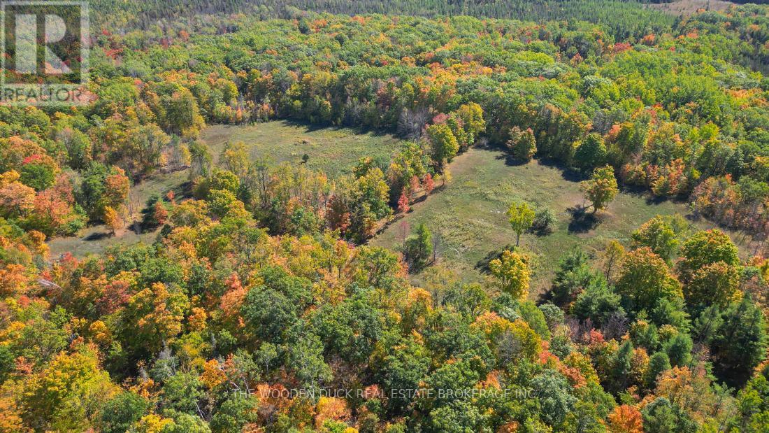 0west Road Allowance Road, Havelock-Belmont-Methuen, Ontario K0L 1Z0 - Photo 16 - X12971736