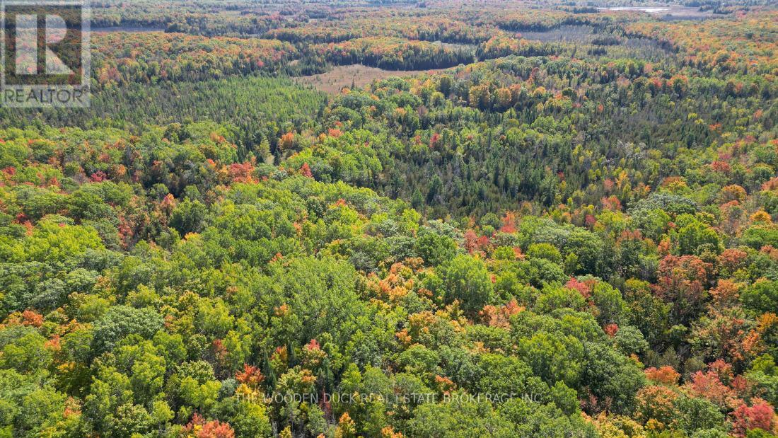 0west Road Allowance Road, Havelock-Belmont-Methuen, Ontario K0L 1Z0 - Photo 17 - X12971736