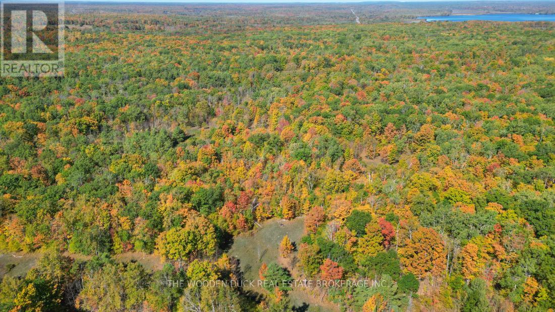 0west Road Allowance Road, Havelock-Belmont-Methuen, Ontario K0L 1Z0 - Photo 19 - X12971736