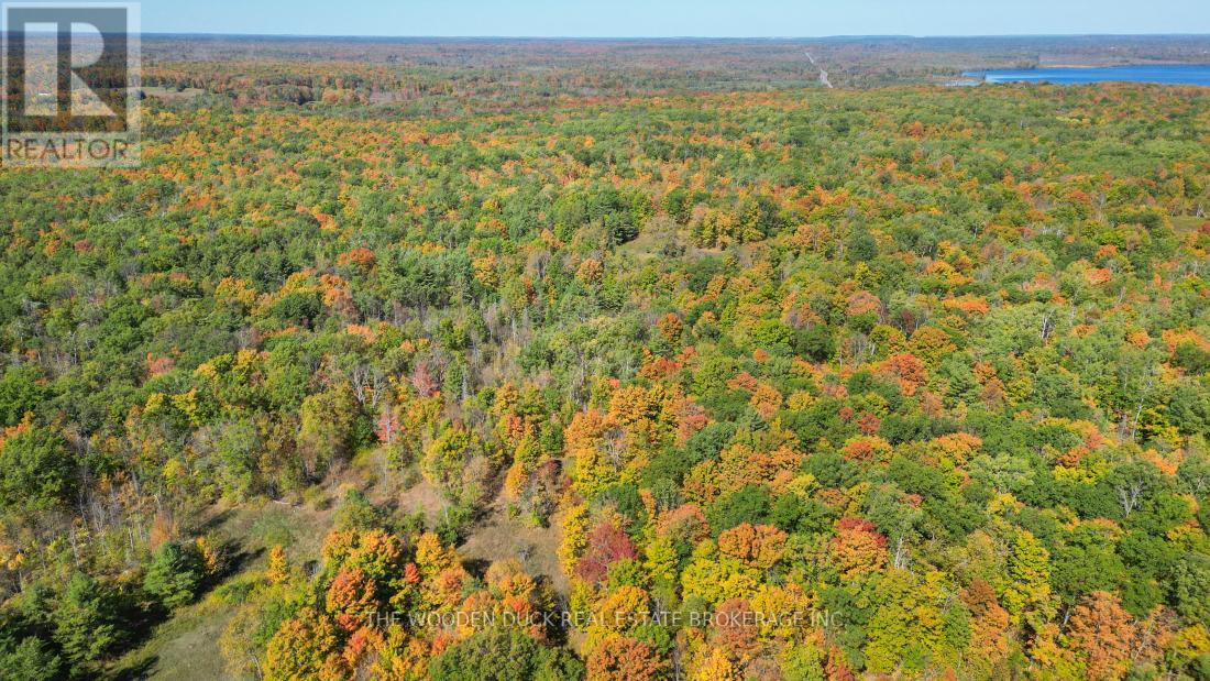 0west Road Allowance Road, Havelock-Belmont-Methuen, Ontario K0L 1Z0 - Photo 20 - X12971736