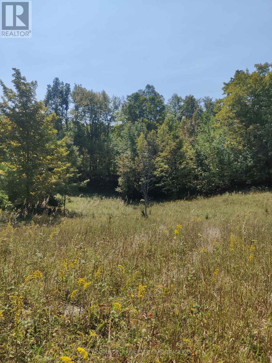 0west Road Allowance Road, Havelock-Belmont-Methuen, Ontario K0L 1Z0 - Photo 3 - X12971736