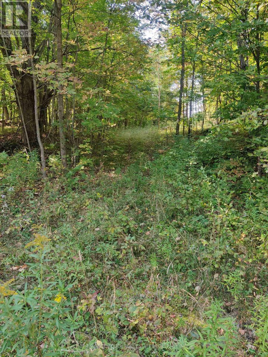 0west Road Allowance Road, Havelock-Belmont-Methuen, Ontario K0L 1Z0 - Photo 4 - X12971736