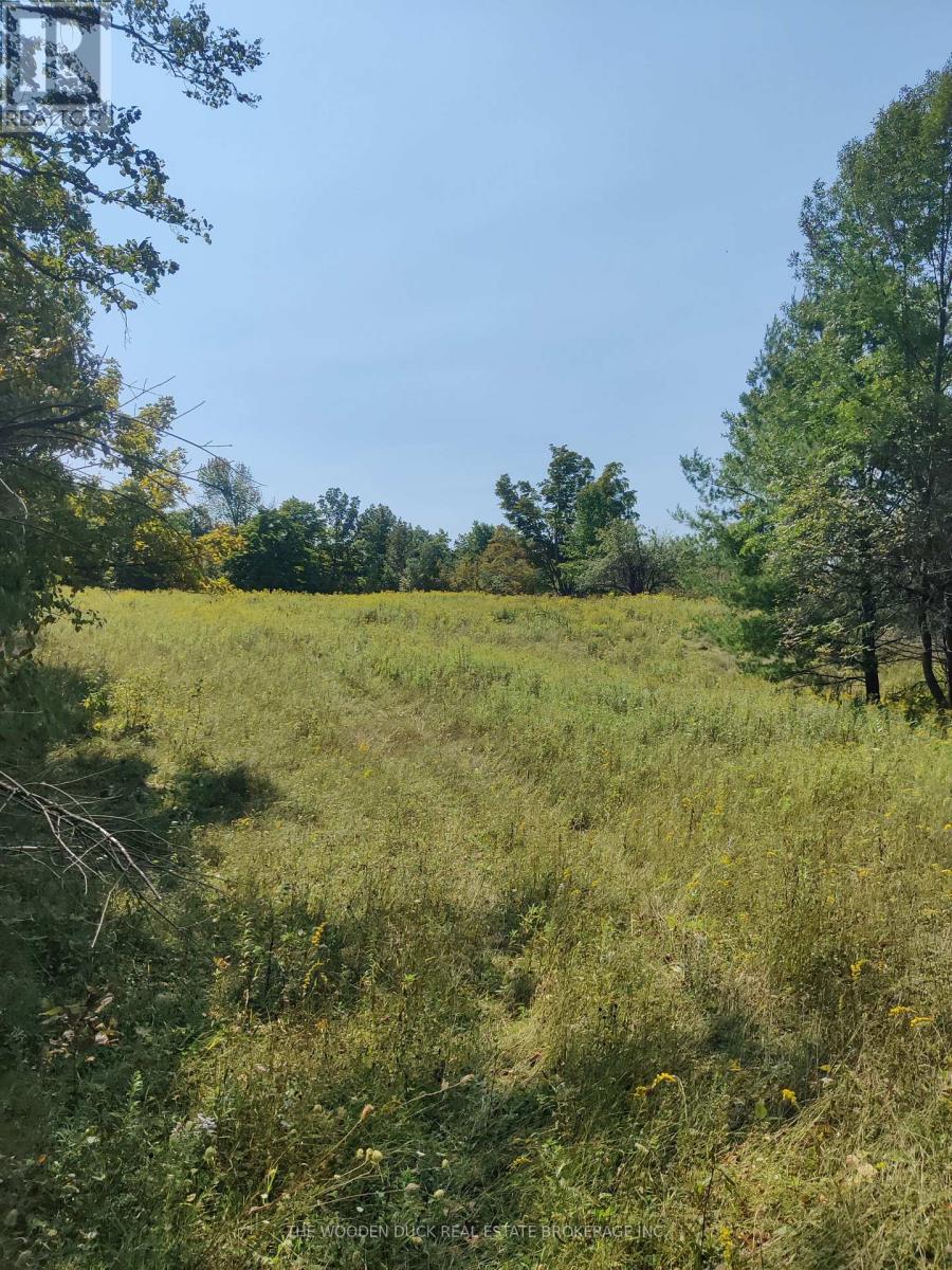 0west Road Allowance Road, Havelock-Belmont-Methuen, Ontario K0L 1Z0 - Photo 5 - X12971736