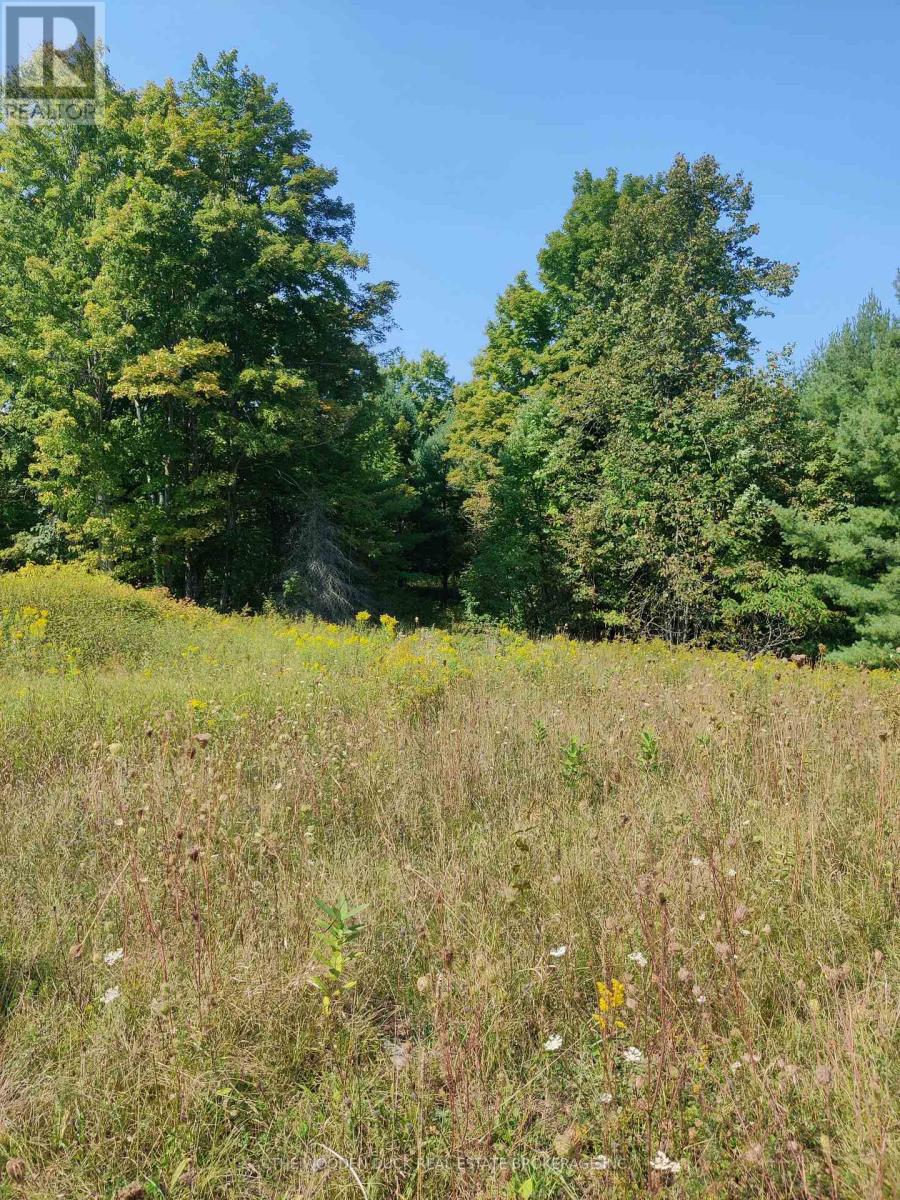 0west Road Allowance Road, Havelock-Belmont-Methuen, Ontario K0L 1Z0 - Photo 6 - X12971736