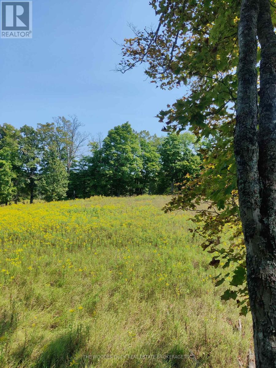 0west Road Allowance Road, Havelock-Belmont-Methuen, Ontario K0L 1Z0 - Photo 7 - X12971736