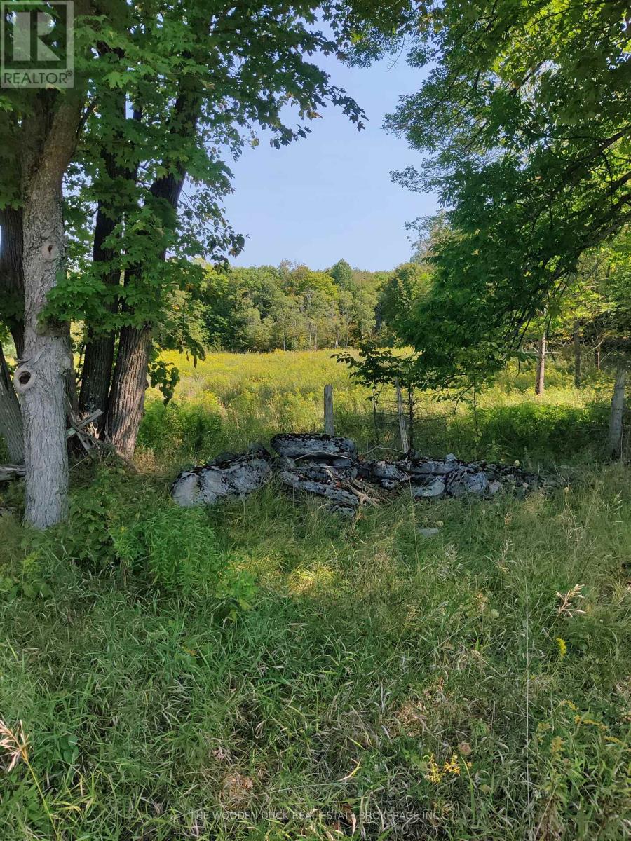 0west Road Allowance Road, Havelock-Belmont-Methuen, Ontario K0L 1Z0 - Photo 8 - X12971736