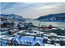 36 GOWER Street, St. John`s A1C1N1, Newfoundland & Labrador