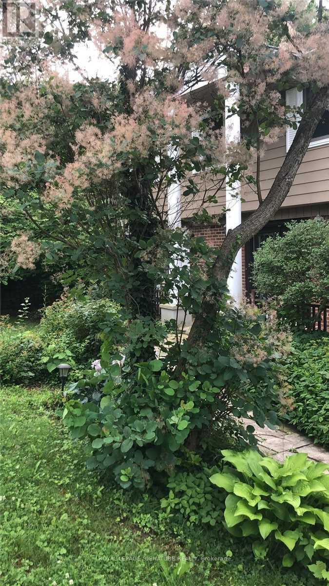 1 Park Brook Place, Markham, Ontario  L3T 2J9 - Photo 36 - N12971486