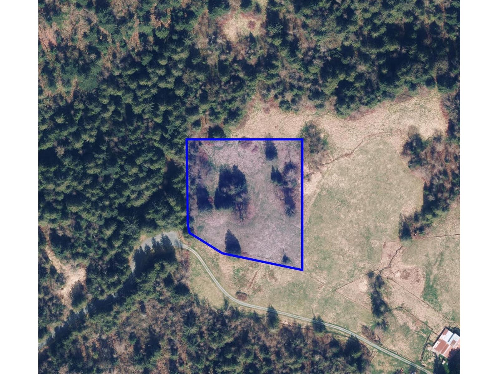 52300 Allan Road, Eastern Hillsides, Chilliwack, British Columbia  V4Z 1L2 - Photo 3 - R3106887