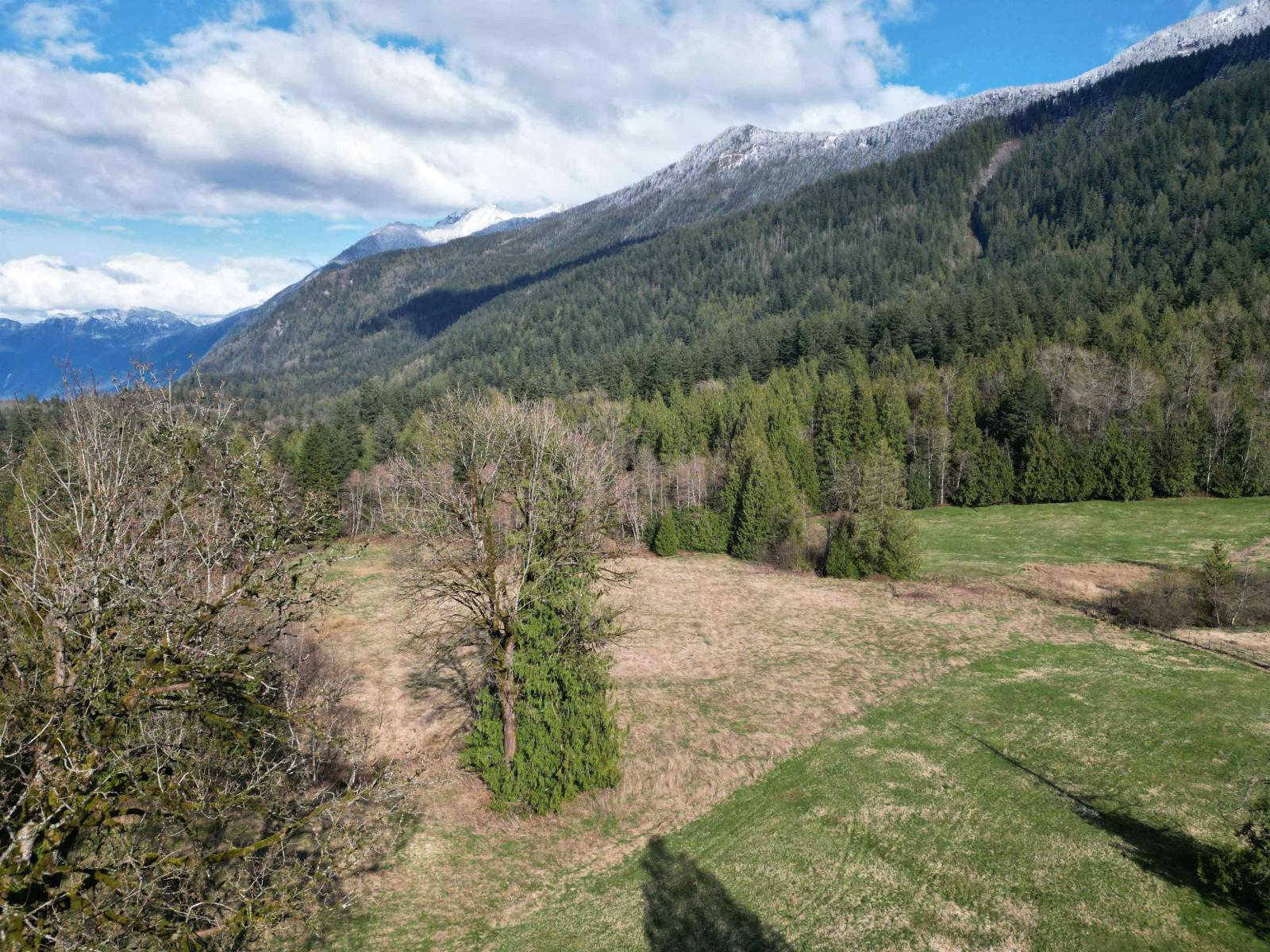 52300 Allan Road, Eastern Hillsides, Chilliwack, British Columbia  V4Z 1L2 - Photo 8 - R3106887