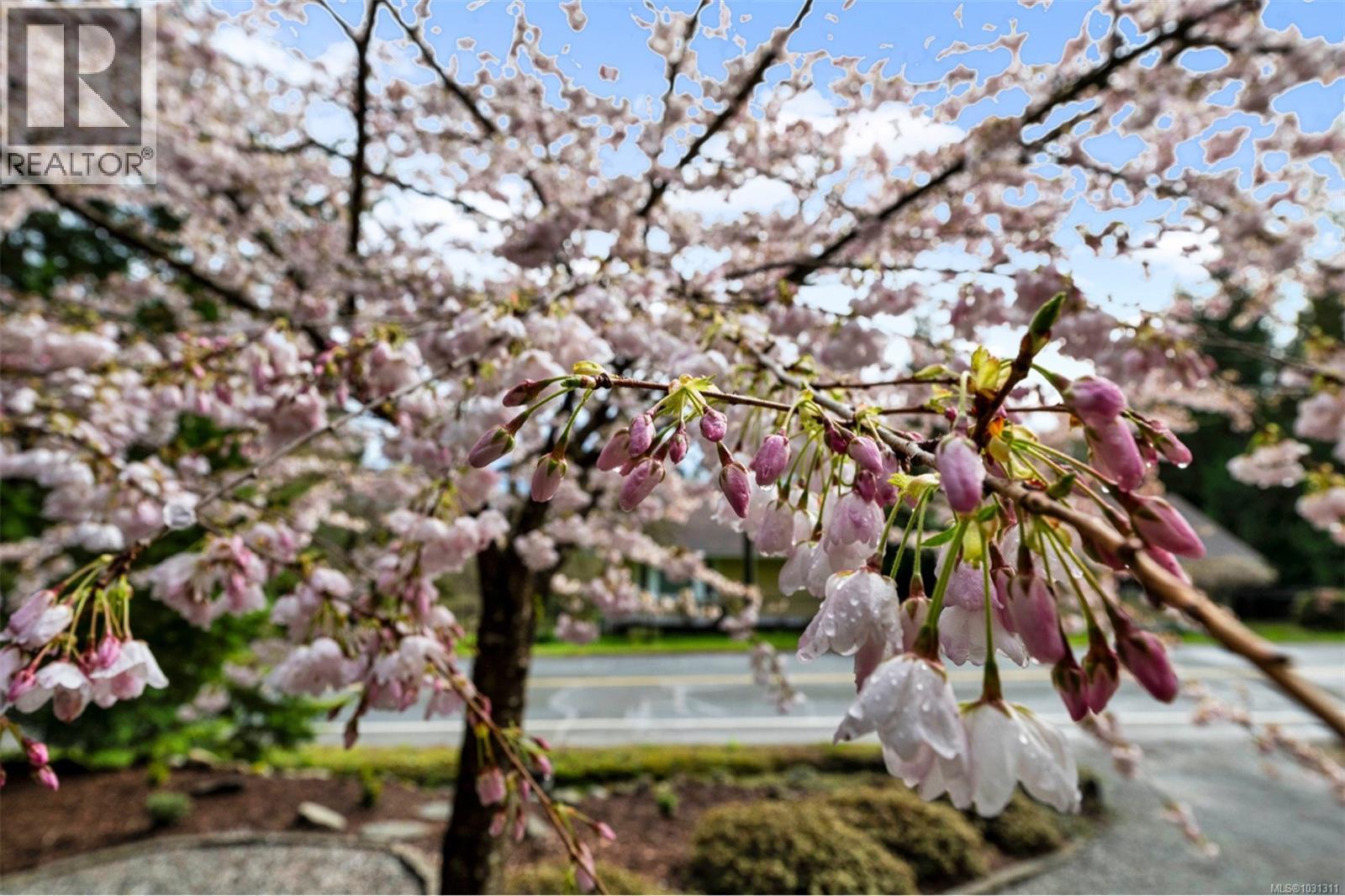 9298 Cottonwood Rd, Chemainus, British Columbia  V0R 1K5 - Photo 38 - 1031311