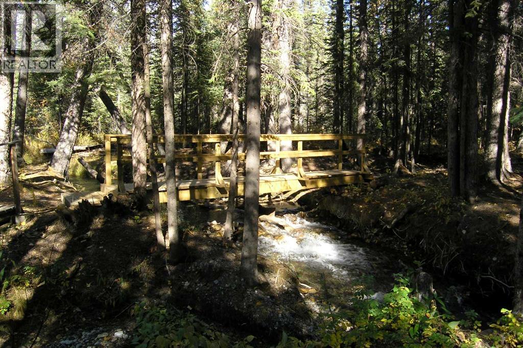 40018 Township Road 242, Rural Rocky View County, Alberta  T3Z 2Z1 - Photo 30 - A2280748