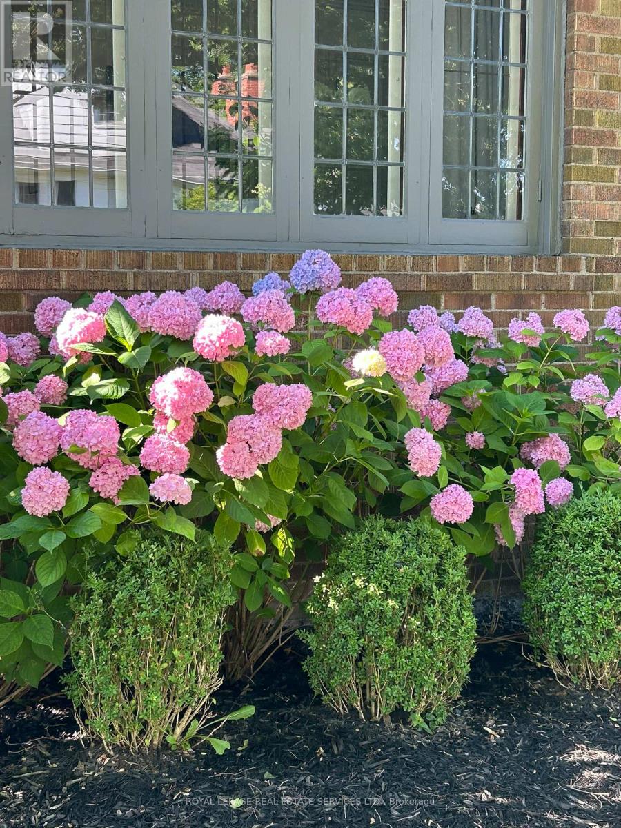 60 Thompson Avenue, Toronto, Ontario  M8Z 3T4 - Photo 34 - W12971668