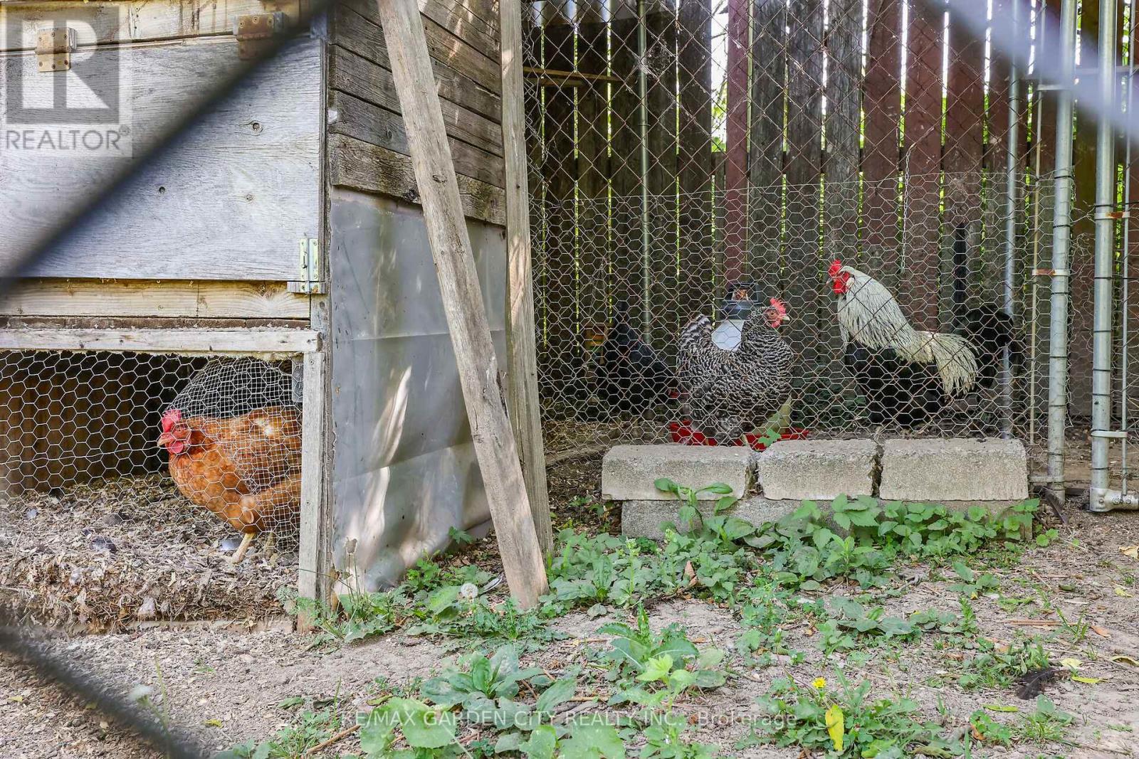 73222 Reg Rd 27 Road, Wainfleet, Ontario  L0R 2J0 - Photo 30 - X12971584