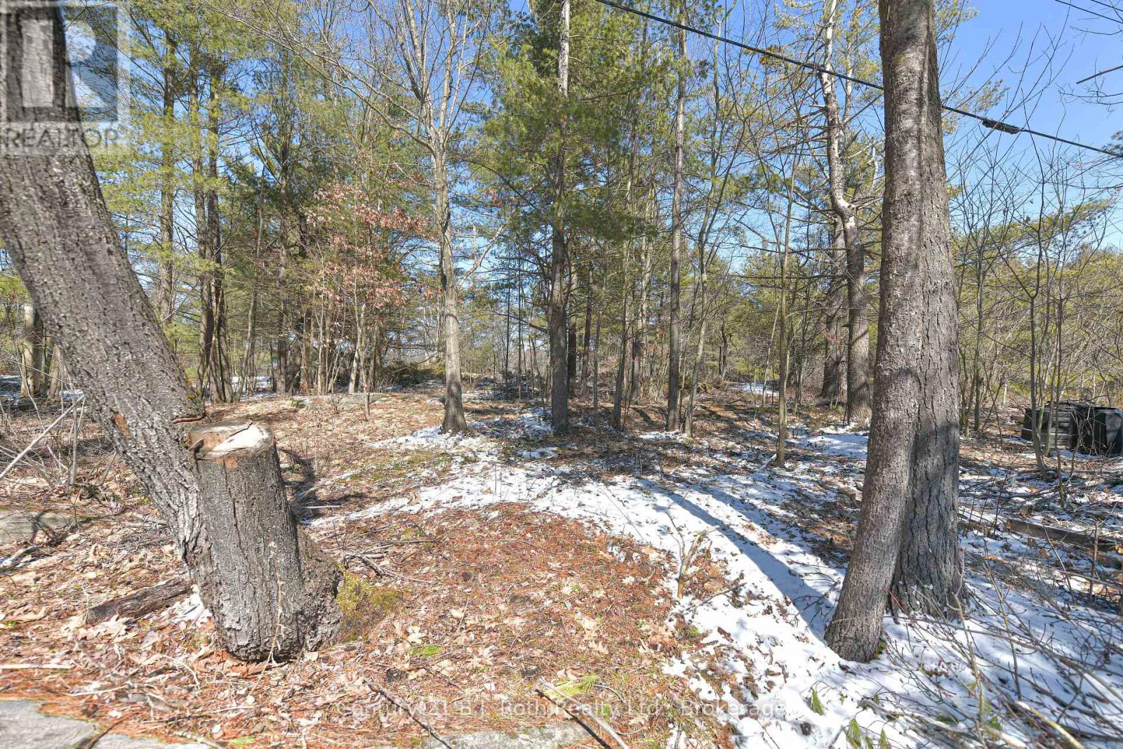 620 Pinedale Road, Gravenhurst (Muskoka (S)), Ontario  P1P 1L5 - Photo 31 - X12971920