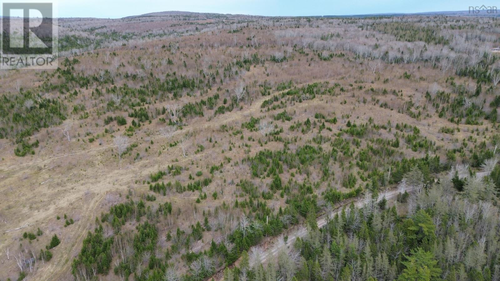 Acreage Mason Road, Glendale, Nova Scotia  B0E 3L0 - Photo 12 - 202509195