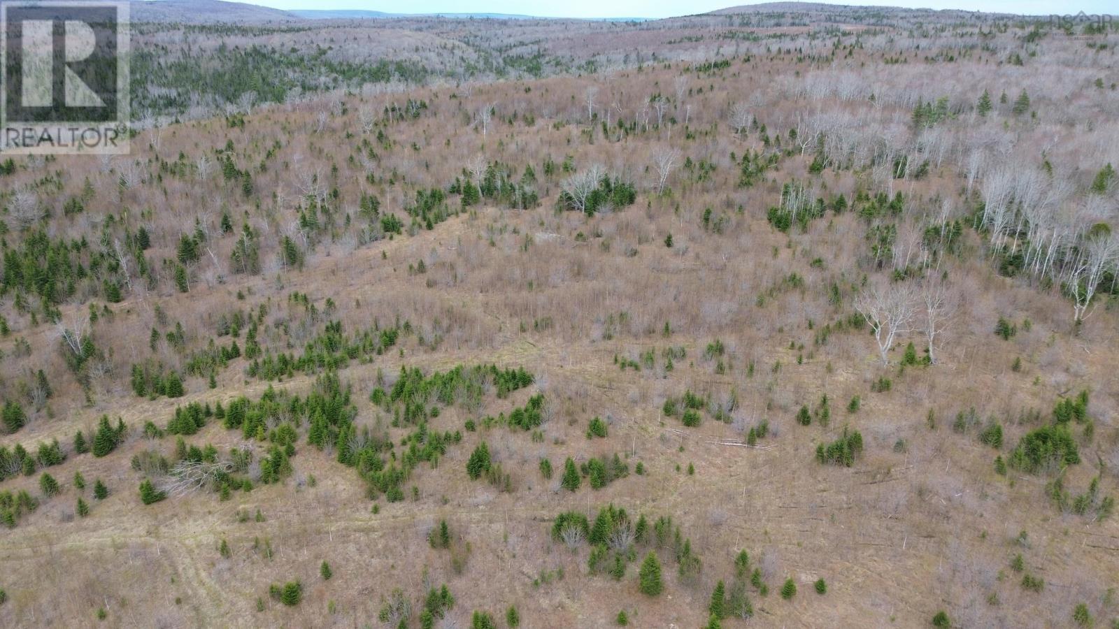 Acreage Mason Road, Glendale, Nova Scotia  B0E 3L0 - Photo 14 - 202509195