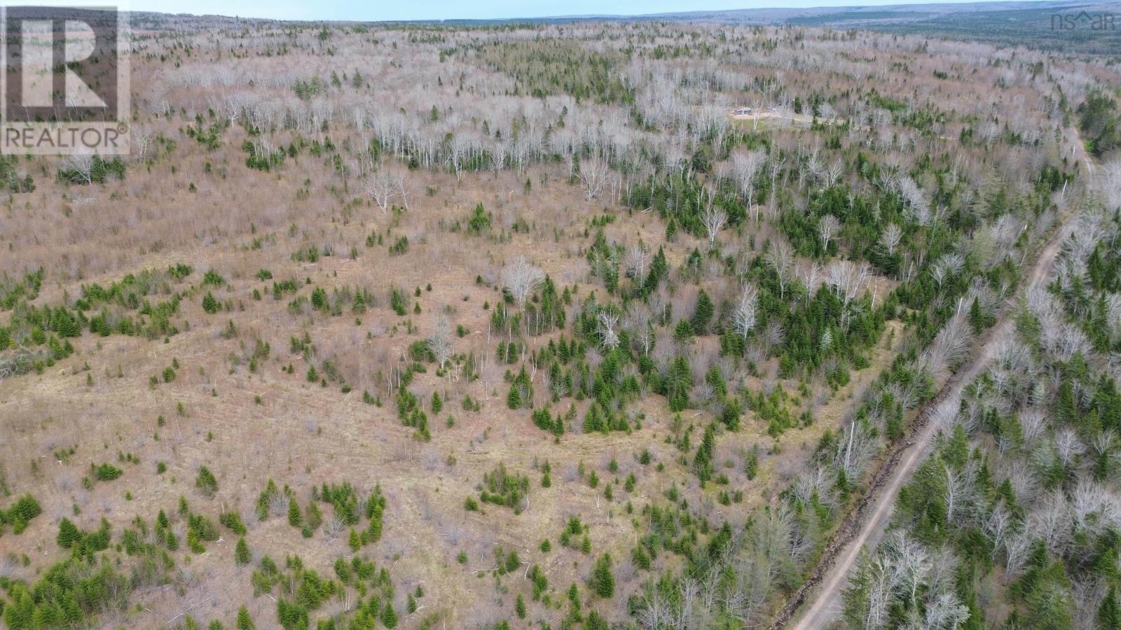 Acreage Mason Road, Glendale, Nova Scotia  B0E 3L0 - Photo 3 - 202509195