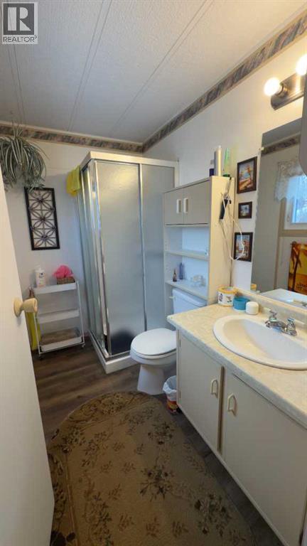 313 3 Avenue E, Hanna, Alberta  T0J 1P0 - Photo 24 - A2291761