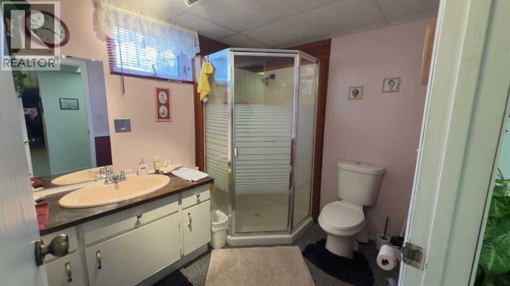 313 3 Avenue E, Hanna, Alberta  T0J 1P0 - Photo 29 - A2291761