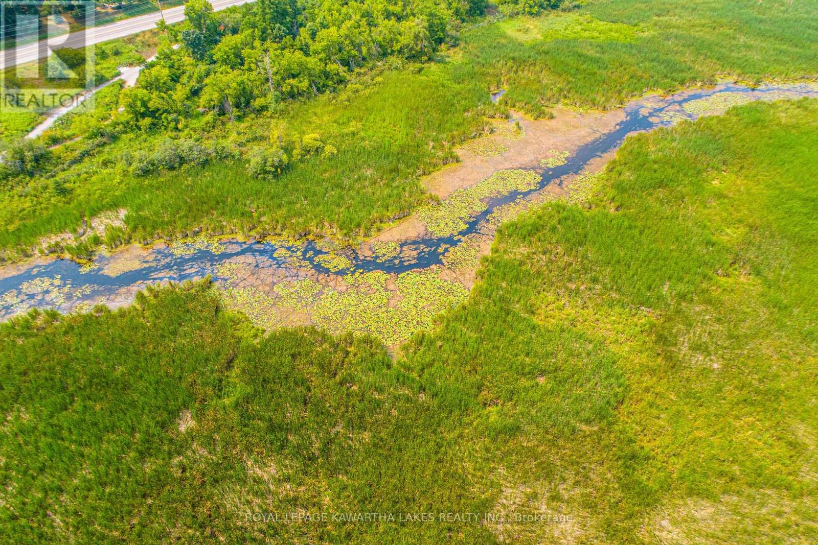 Pt Lt 13 Con 6, Brock, Ontario L0C 1H0 - Photo 11 - N12972012