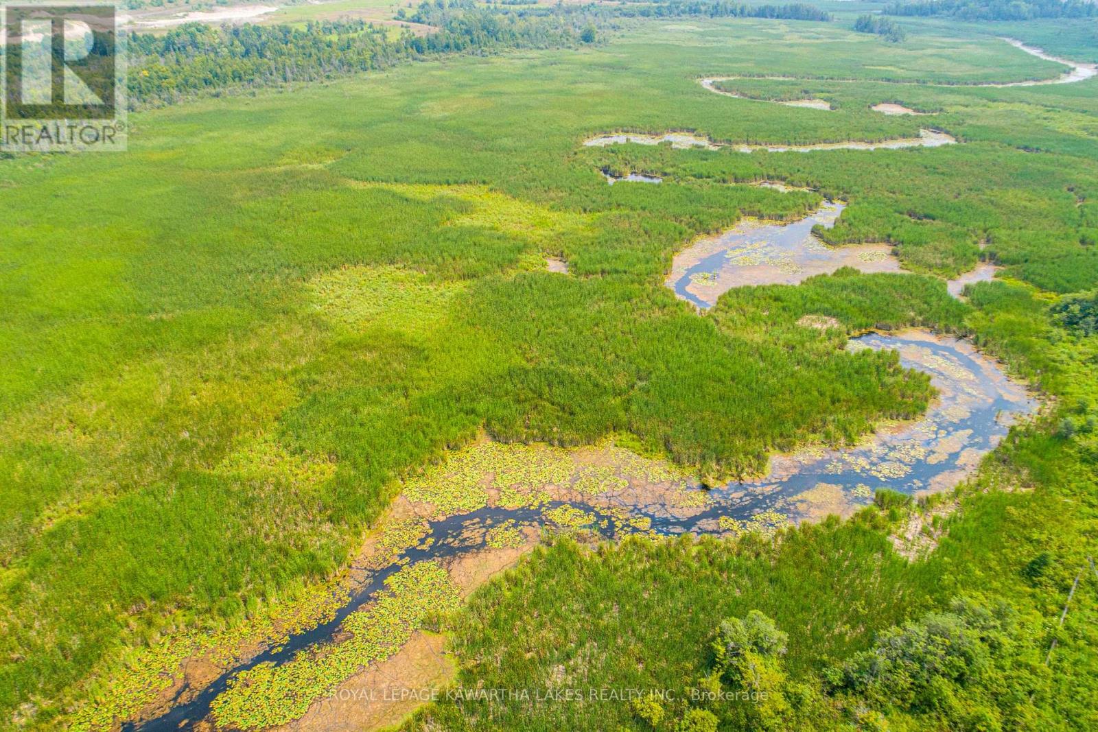 Pt Lt 13 Con 6, Brock, Ontario L0C 1H0 - Photo 8 - N12972012