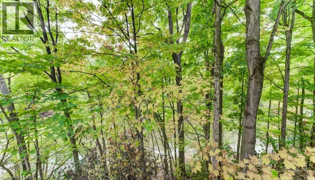 177 Piper Street, Ayr, Ontario  N0B 1E0 - Photo 50 - 40818715