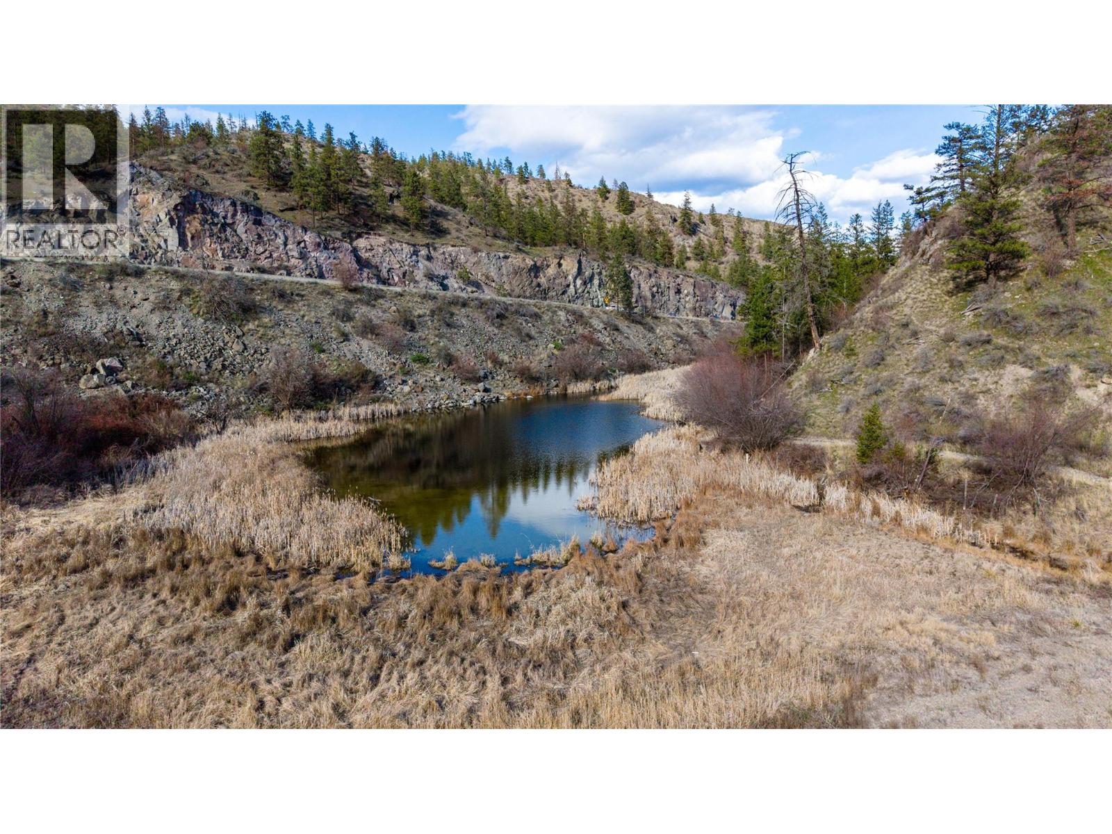 101 Hwy 3a Highway, Kaleden, British Columbia  V0H 1K0 - Photo 6 - 10382148