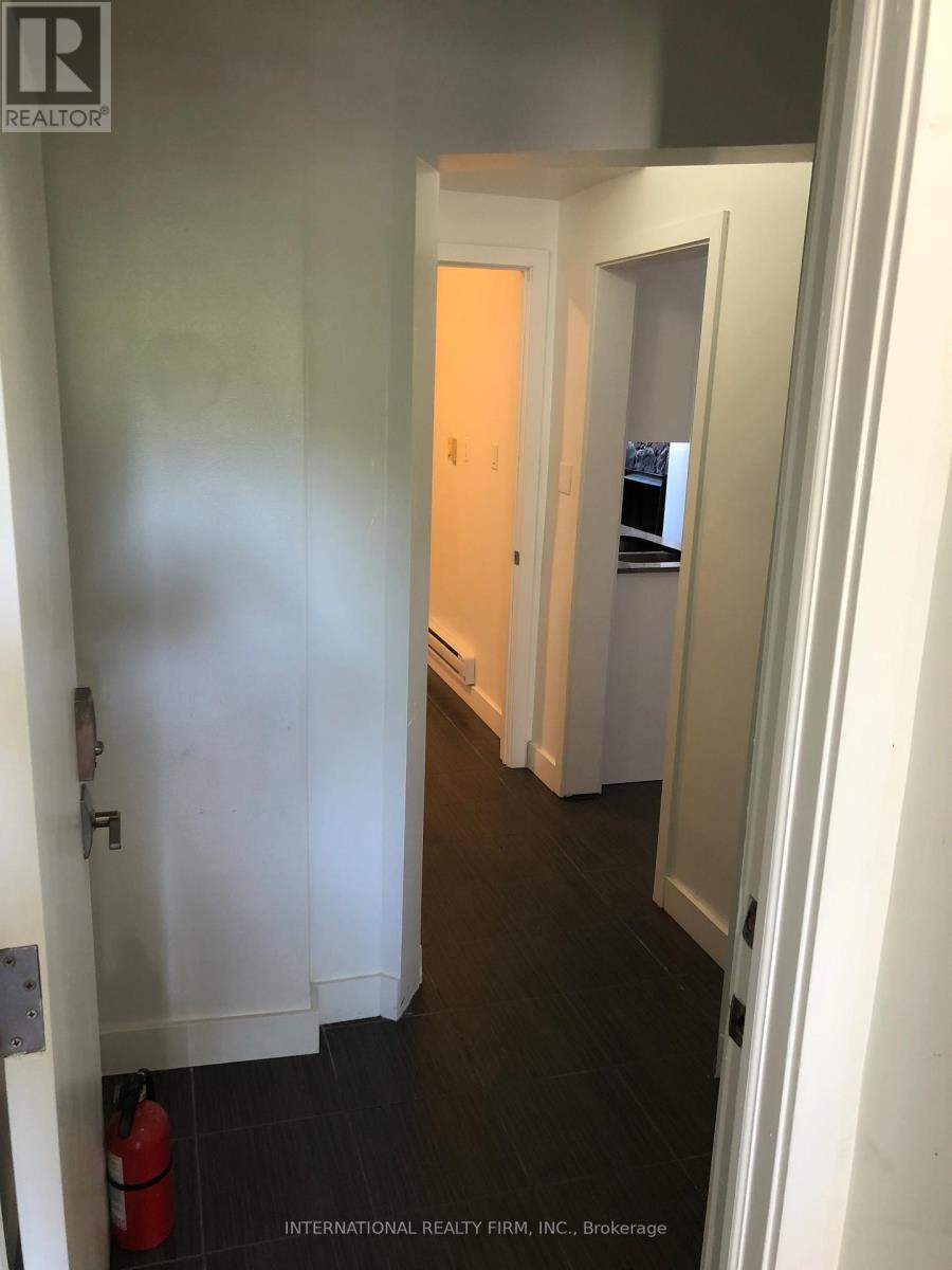 Unit 1 - 159 Montrose Avenue, Toronto, Ontario  M6J 2T6 - Photo 3 - C12972102