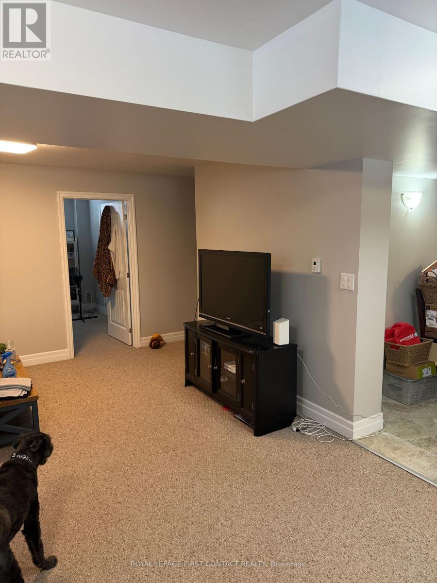 Lower - 3178 Oak Street, Innisfil, Ontario  L9S 2K3 - Photo 5 - N12972164