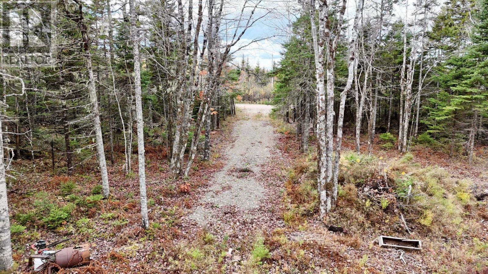 2320 Riverside Road, Green Creek, Nova Scotia  B0N 2J0 - Photo 2 - 202526642