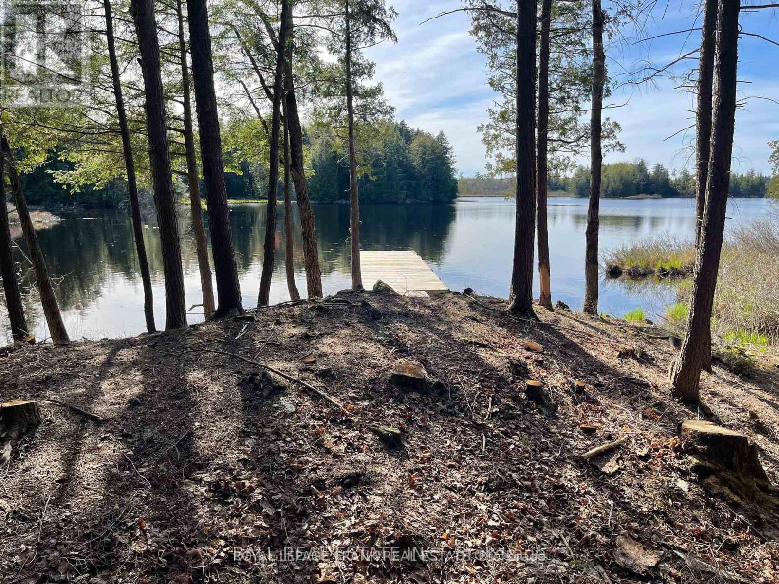 0 Part Lt 18-20 Con 13 Road, Tudor And Cashel, Ontario K0L 1W0 - Photo 4 - X12972244