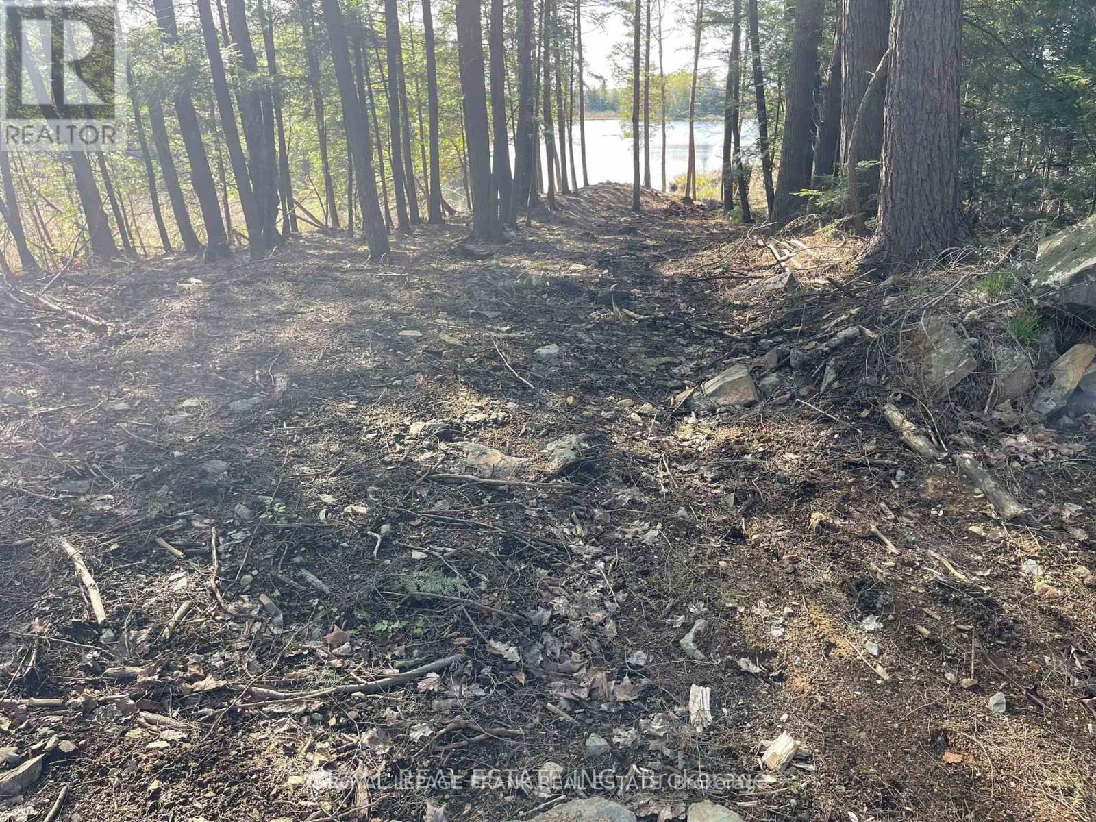 0 Part Lt 18-20 Con 13 Road, Tudor And Cashel, Ontario K0L 1W0 - Photo 5 - X12972244