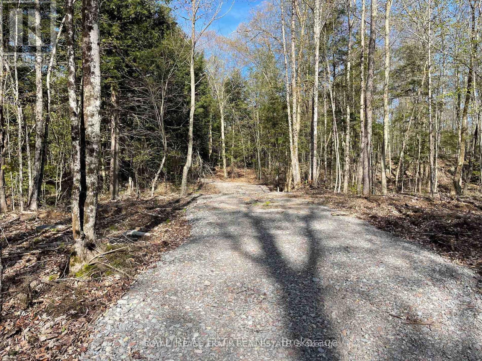 0 Part Lt 18-20 Con 13 Road, Tudor And Cashel, Ontario K0L 1W0 - Photo 6 - X12972244