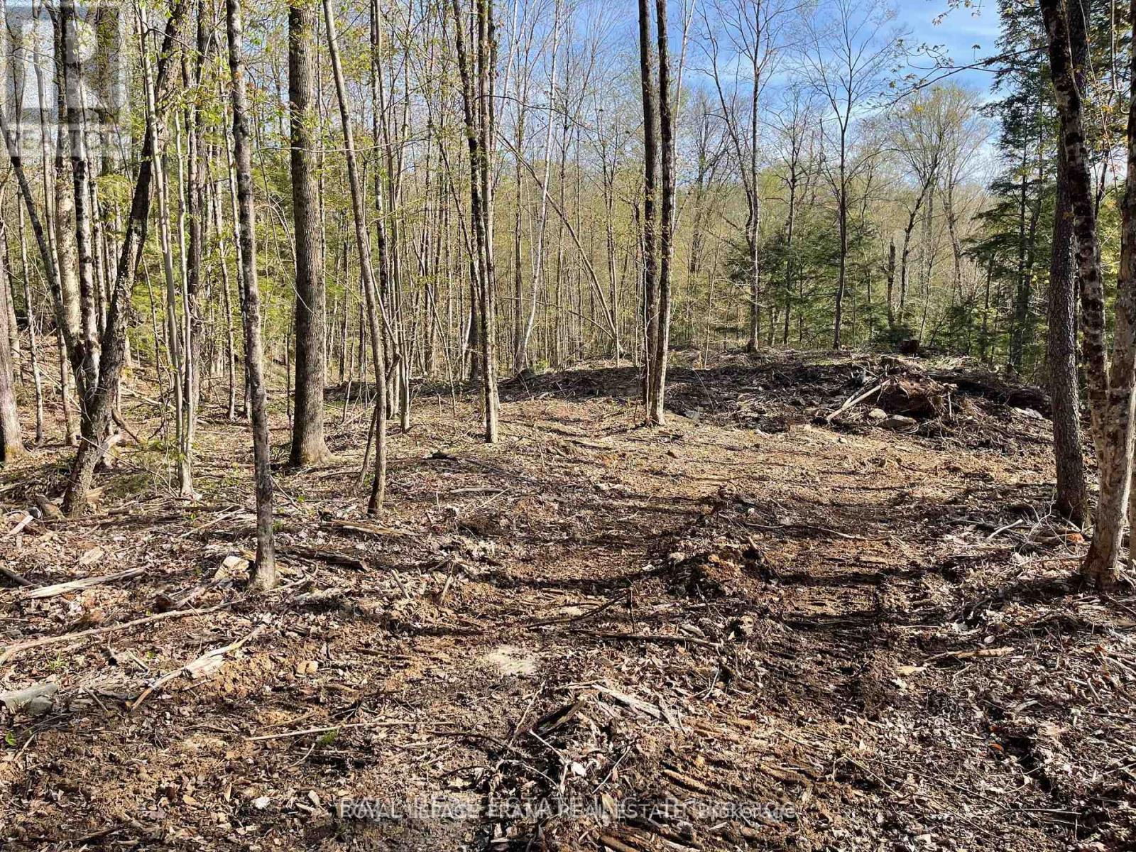 0 Part Lt 18-20 Con 13 Road, Tudor And Cashel, Ontario K0L 1W0 - Photo 7 - X12972244