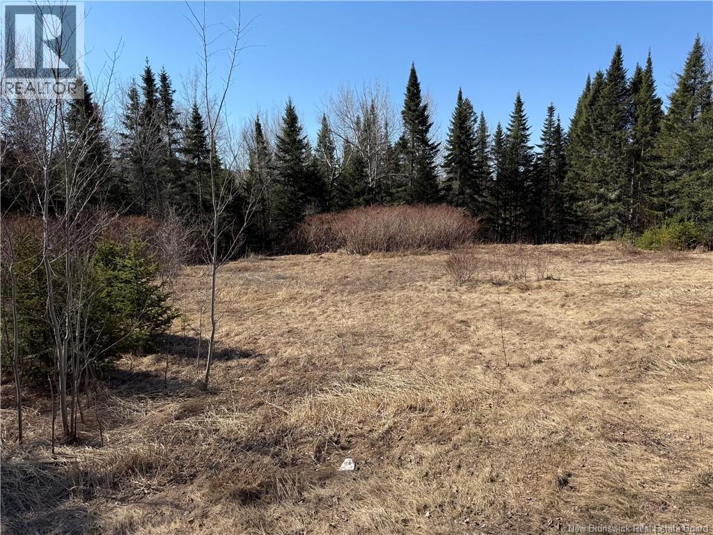Route 875, Searsville, New Brunswick  E5P 3W5 - Photo 1 - NB136691