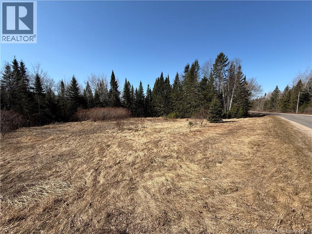 Route 875, Searsville, New Brunswick  E5P 3W5 - Photo 3 - NB136691