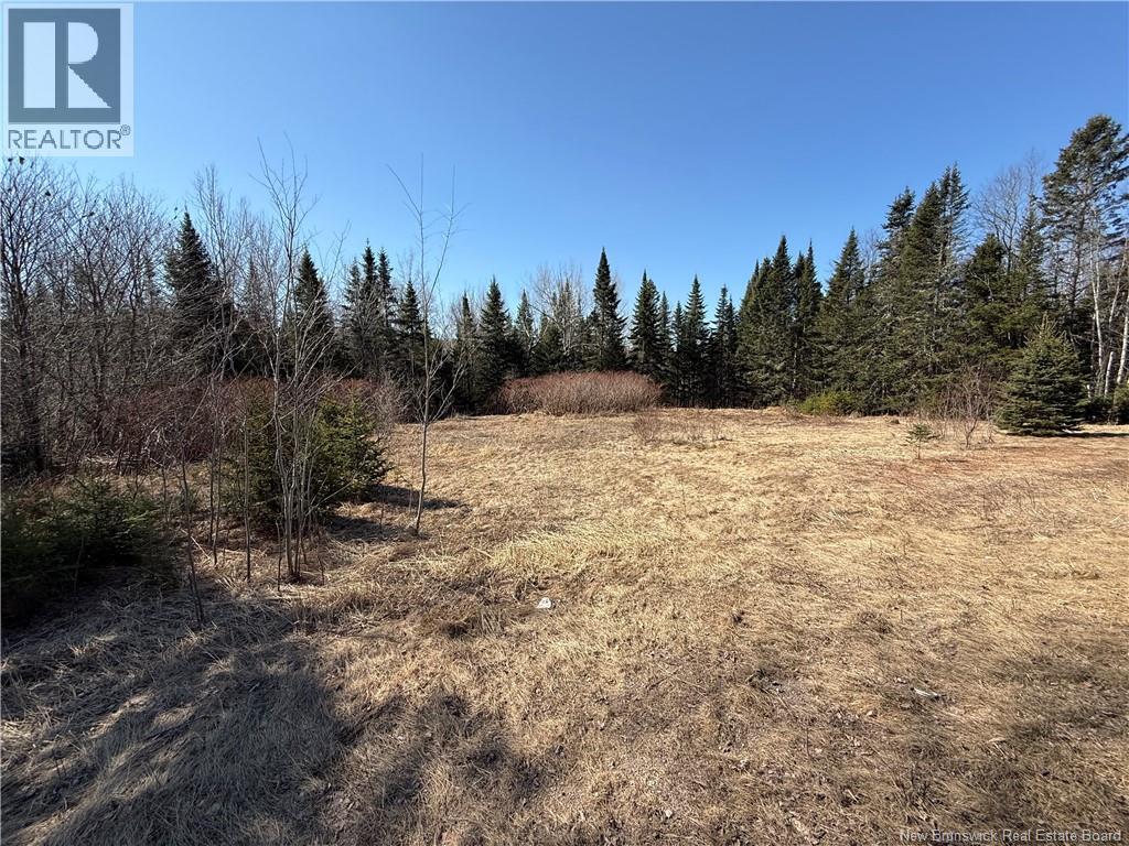 Route 875, Searsville, New Brunswick  E5P 3W5 - Photo 2 - NB136691