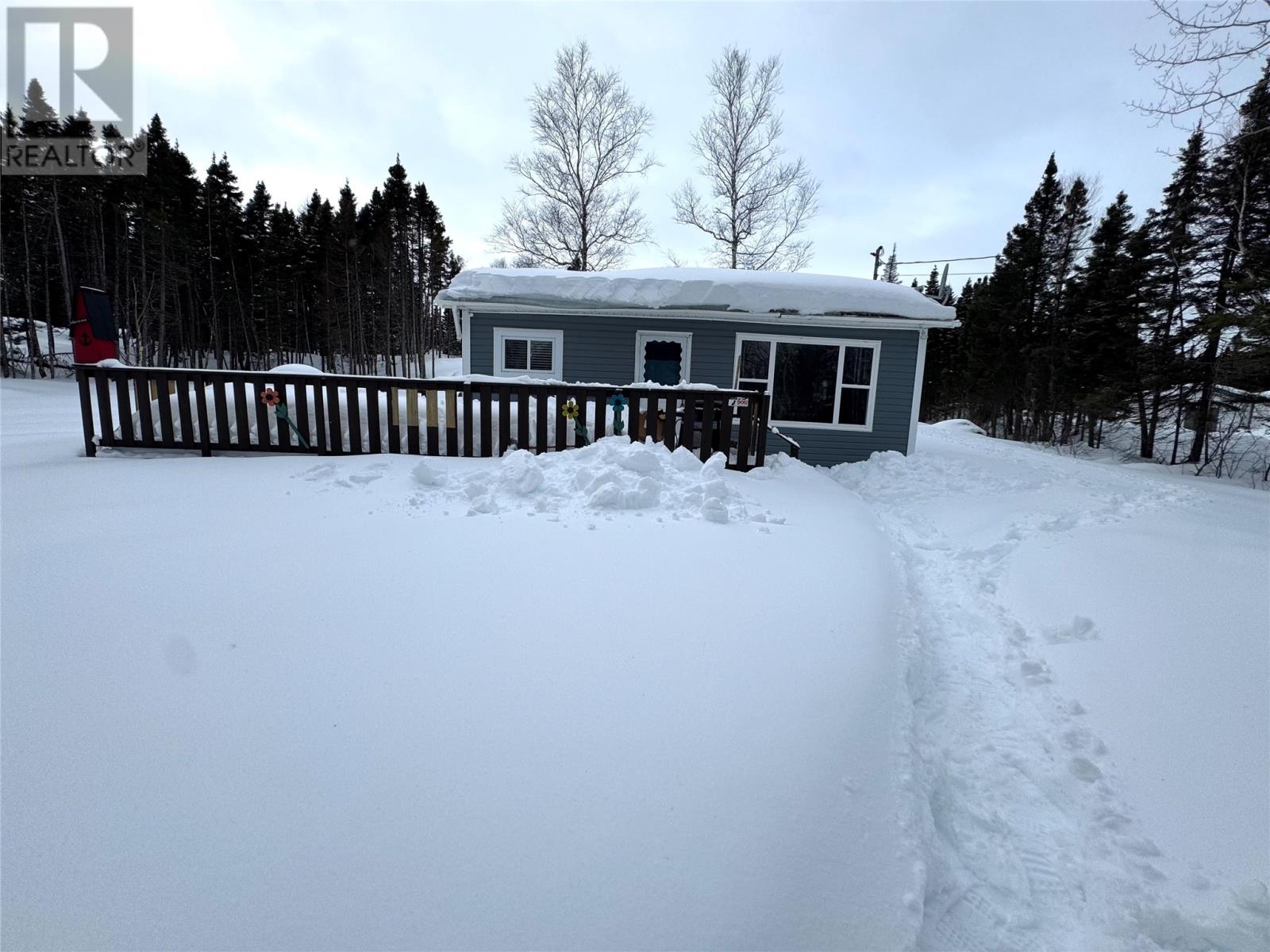 74 Crooked Lake Road, Badger, Newfoundland & Labrador   - Photo 1 - 1294714