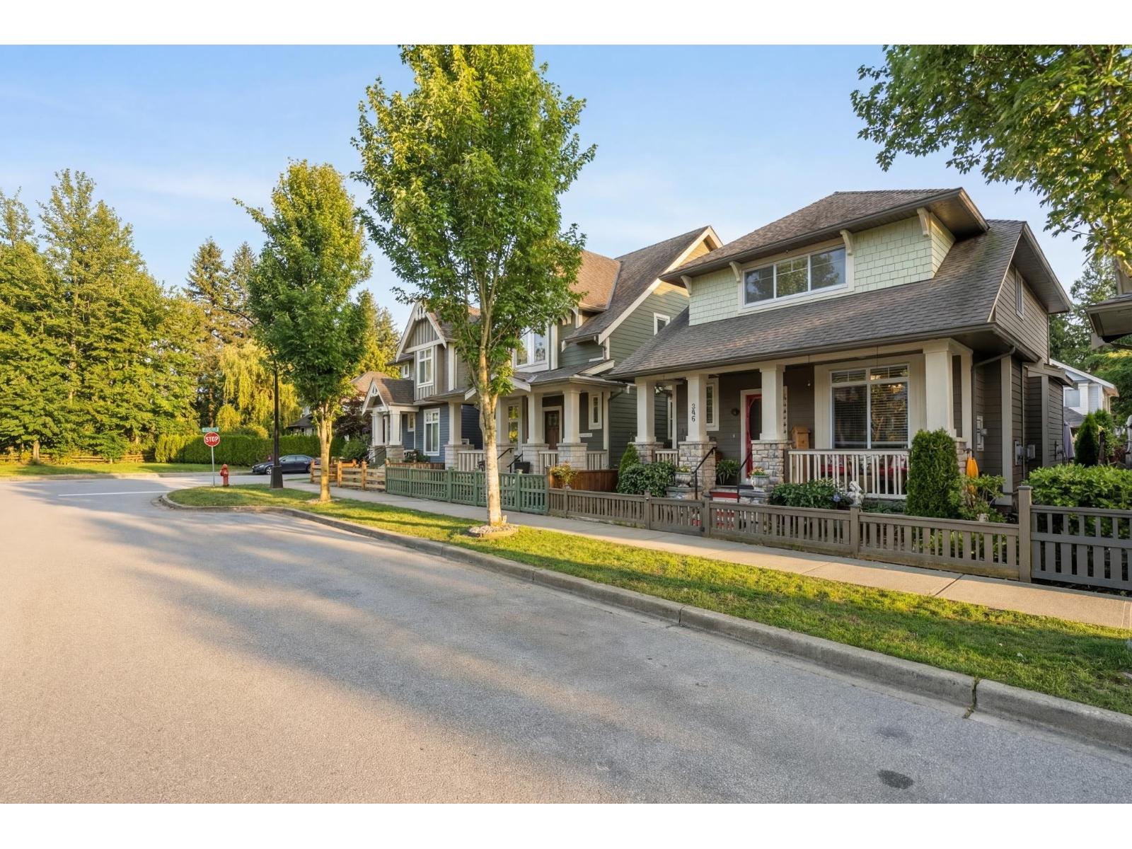 259 172a Street, Surrey, British Columbia V3Z 9R1 - Photo 33 - R3106919